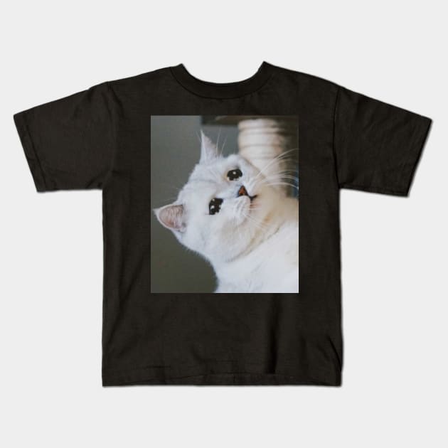 Sad Cat Crying Cat Cute Meme Kids T-Shirt by Random Galaxy